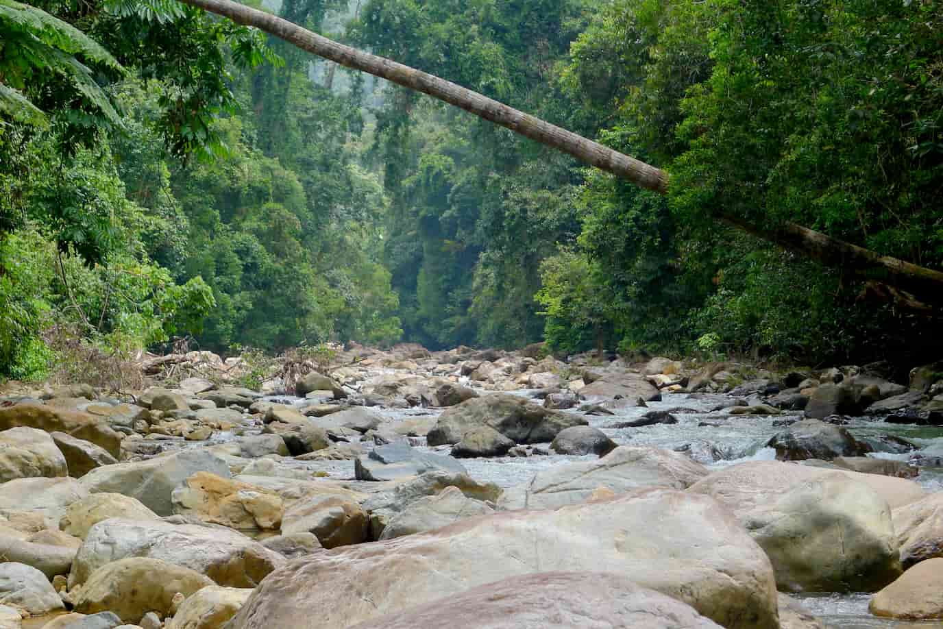 Places to Visit During Chinese New Year Holiday in JB Taman Negara Johor Tanjung Piai