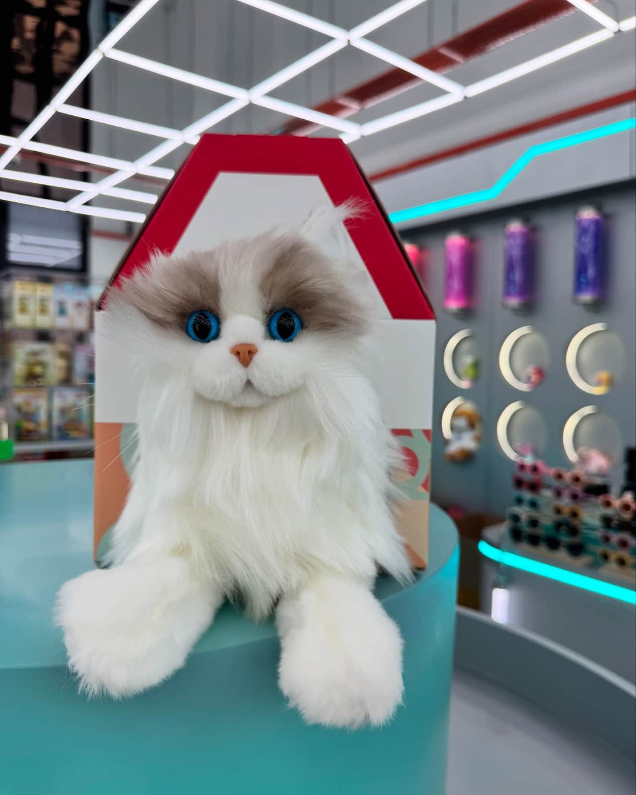 Best Indoor Activities in JB for Couples Fun Factory