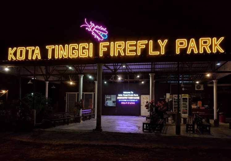 Firefly River Cruise Tour Kota Tinggi Booking Online